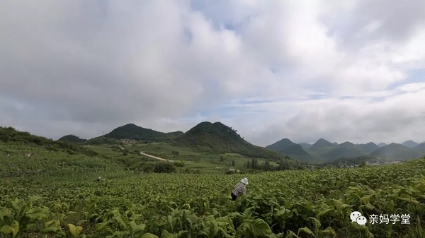 1549937277100113.jpg 6403.webp.jpg