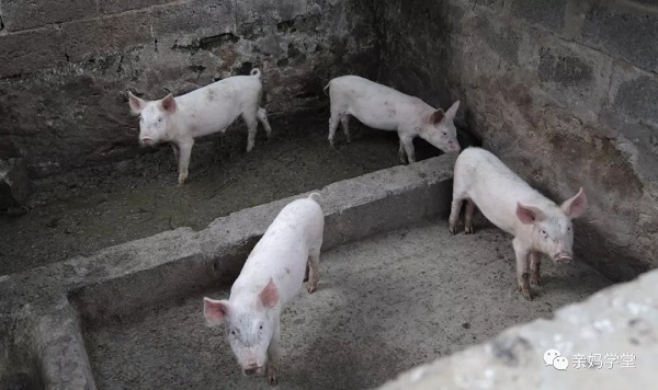 1549937289180303.jpg 6404.webp.jpg