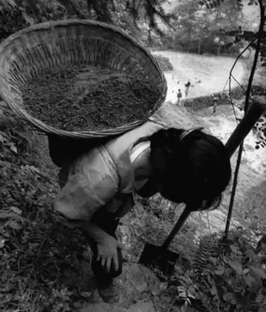 1550394784921697.png 3.png