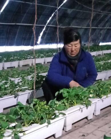 1550556253165801.jpg QQ截圖20190219135500.jpg