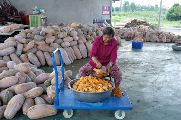 1550557453344770.jpg 1550557453344770.jpg