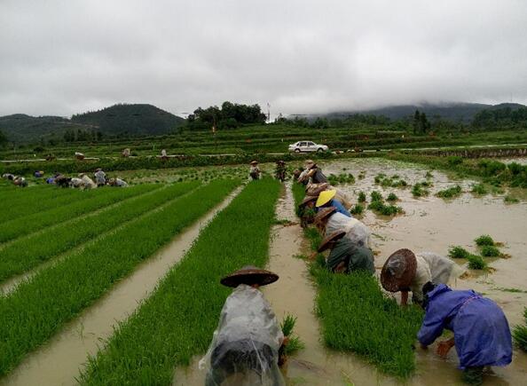 1550559810292185.jpg 112.jpg