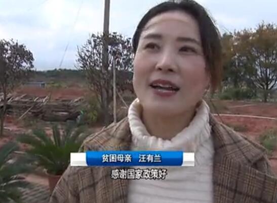 1550562064148889.jpg 2.jpg