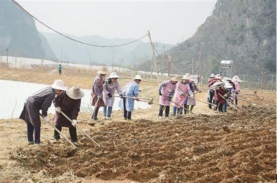 1550562072825521.jpg 3.jpg