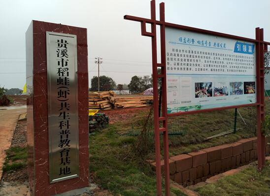 1550562081218558.jpg 4.jpg