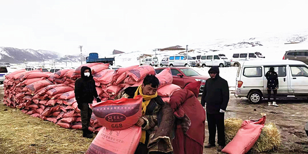 1551066221603563.jpg 1551066221603563.jpg