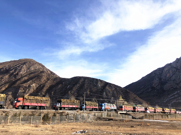 1551066241523524.jpg 1551066241523524.jpg