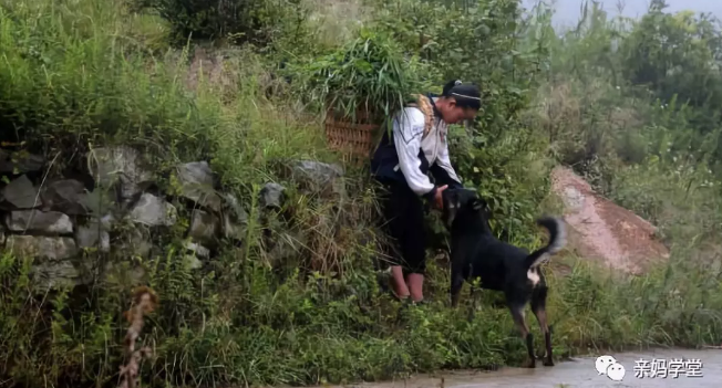 1551525396121866.png 2.png