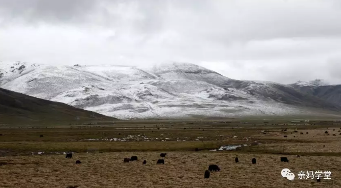 1551526583770397.png 2.png