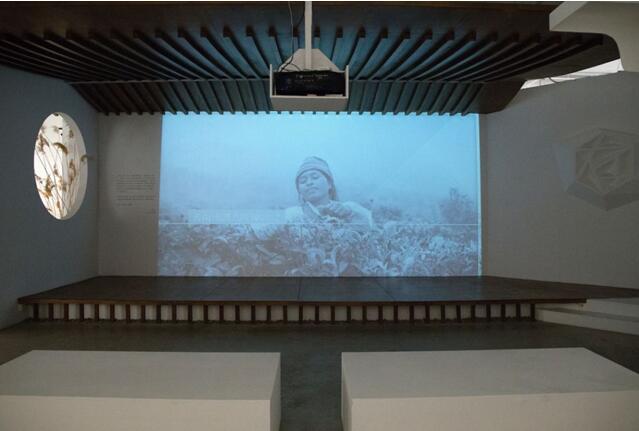 1552098006424637.jpg 8.jpg