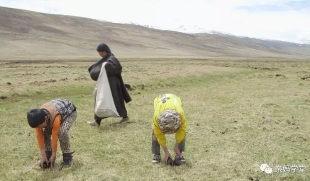 1552204164108113.png 11.png