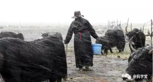 1552204965745611.png 10.png