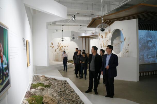 1552730268405574.jpg 1.jpg