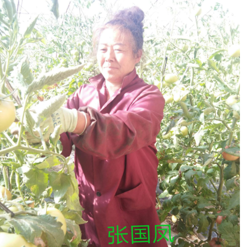 1554779434246615.png image.png