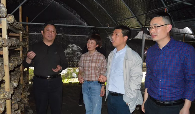 1555224097794151.png 5.png