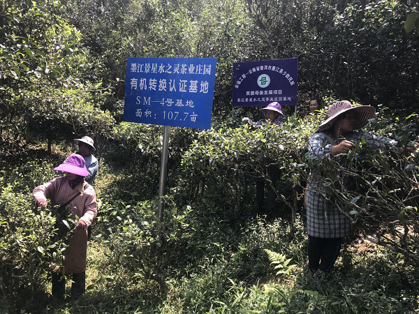 圖片2 - 副本.png