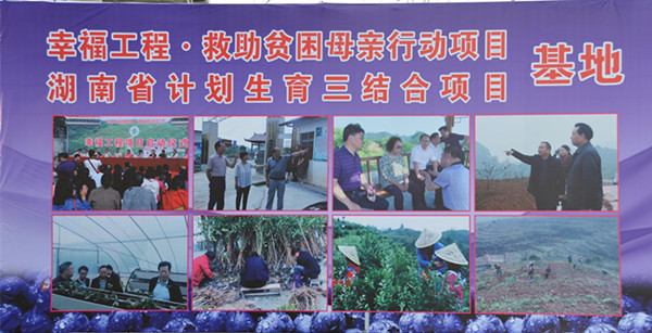 1555847524154182.jpg 1555847524154182.jpg