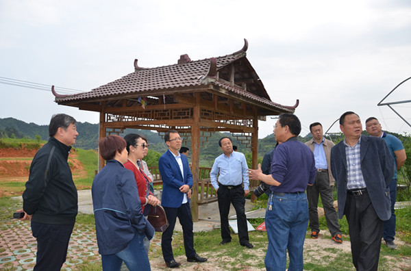 1555847962720222.jpg 1555847962720222.jpg