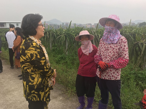 1557591011317015.jpg 85a2eb51018d313196fa9c44cc12ef9.jpg