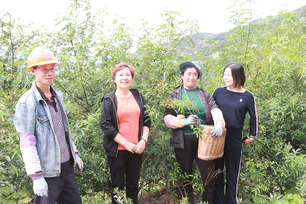 回訪(fǎng) (1).JPG