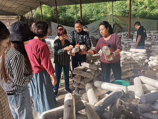 1571849396263569.jpg 1.jpg