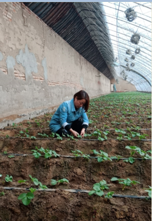 1586931040125033.png 640.png