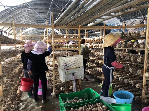 微信圖片_2019122412560731 - 副本.jpg