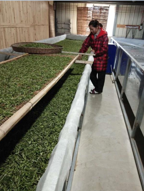 1587887885809341.png 1587887885809341.png