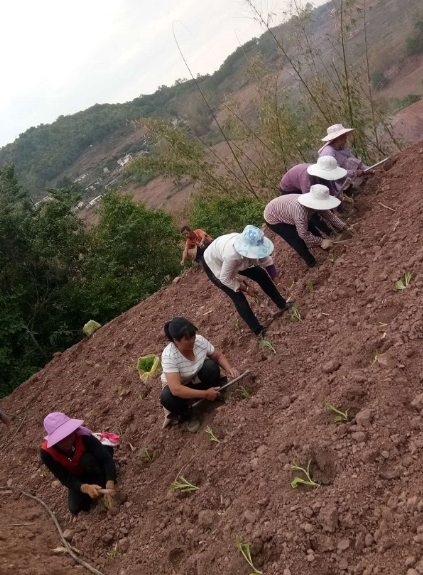 1589001166133303.png 1.1.png