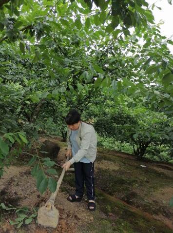 1594103117676717.jpg 2.jpg