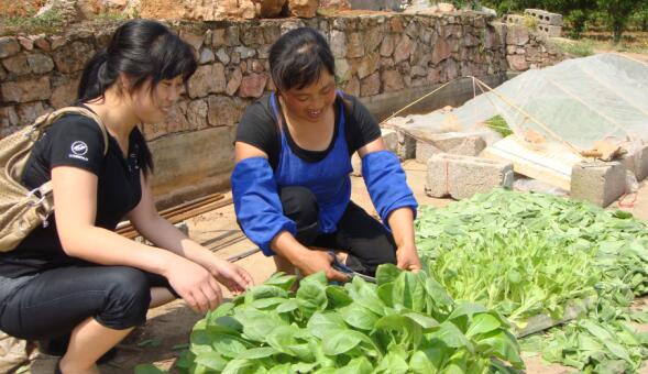 1594798508313099.jpg QQ截圖20200715153320.jpg