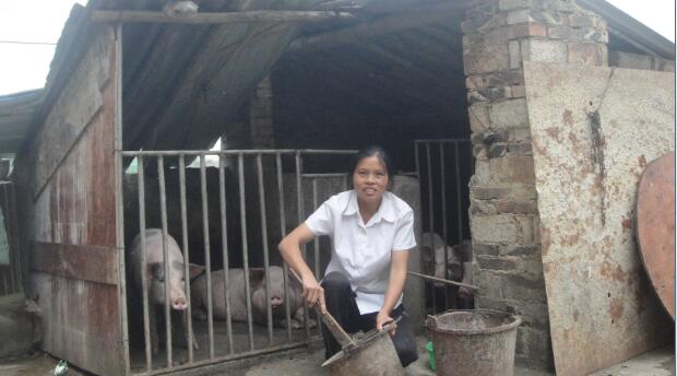 1594800904737908.jpg QQ截圖20200715161123.jpg