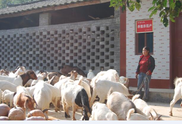 1594801635794883.jpg QQ截圖20200715162532.jpg