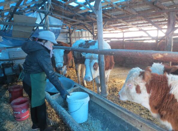 1594870594547407.jpg QQ截圖20200716113616.jpg