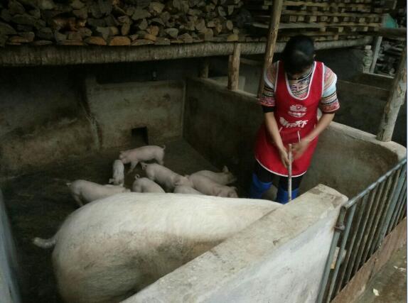 1596528862251477.jpg QQ截圖20200804161339.jpg