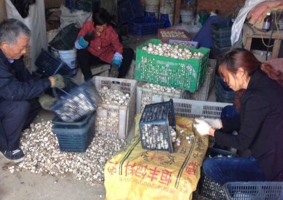 1597733758736790.jpg QQ截圖20200818145550.jpg