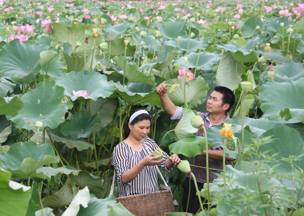 1597734997174149.jpg 1597734997174149.jpg