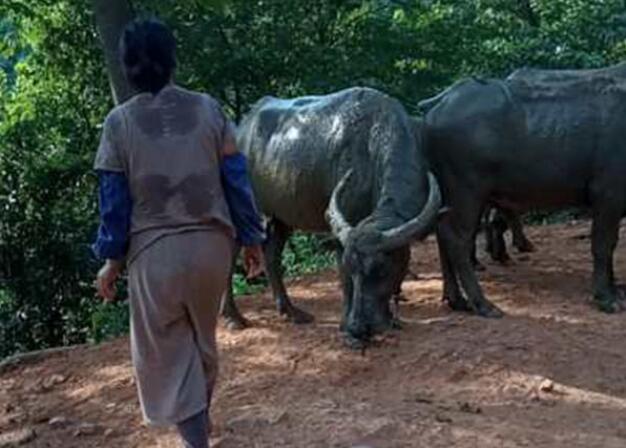 1598921291360692.jpg QQ截圖20200901084526.jpg