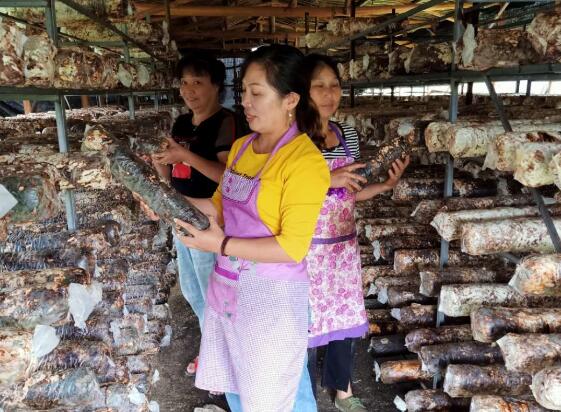 1600737163386382.jpg QQ截圖20200922091005.jpg