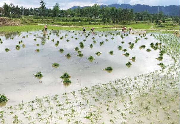 1602747968203970.jpg 8.jpg