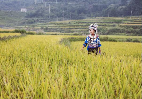 1602748003127959.jpg 10.jpg