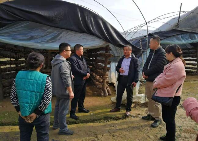 1605682965694317.jpg QQ截圖20201118150116.jpg