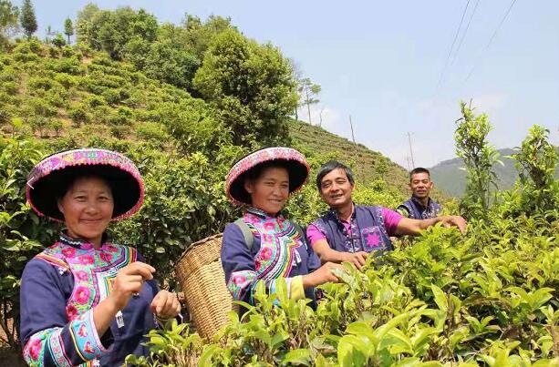 1614309354669746.jpg 111.jpg