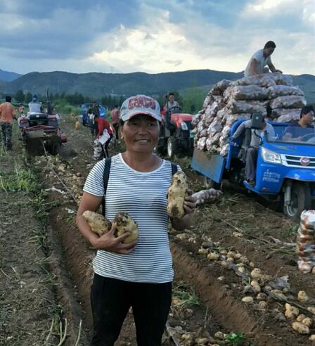 1617064472908788.jpg 11.jpg